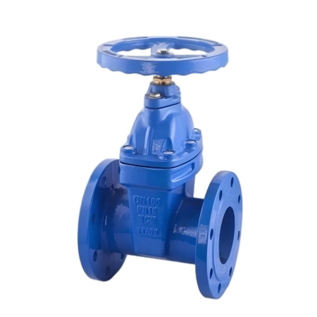 Adjustable Gate Valve